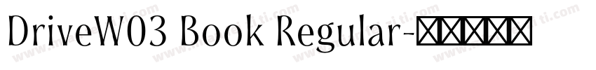 DriveW03 Book Regular字体转换